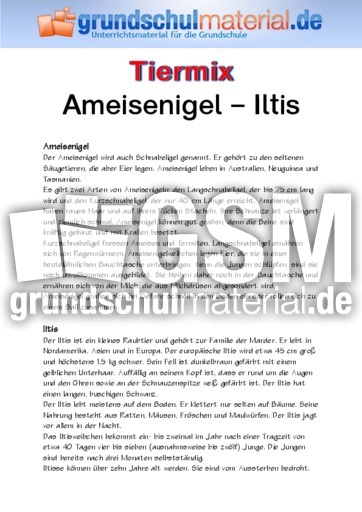 Ameisenigel - Iltis.pdf